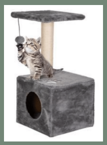 CAT TREE STOCK